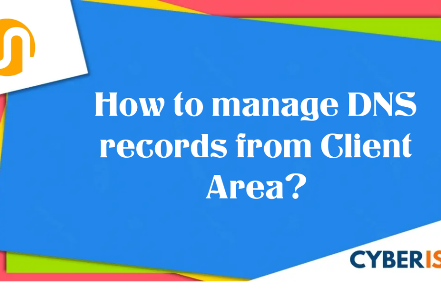 How to manage DNS records from Client Area?