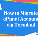 How to Migrate cPanel Account: Single Account and Bulk Transfer via Terminal
